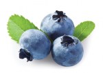 blueberry1